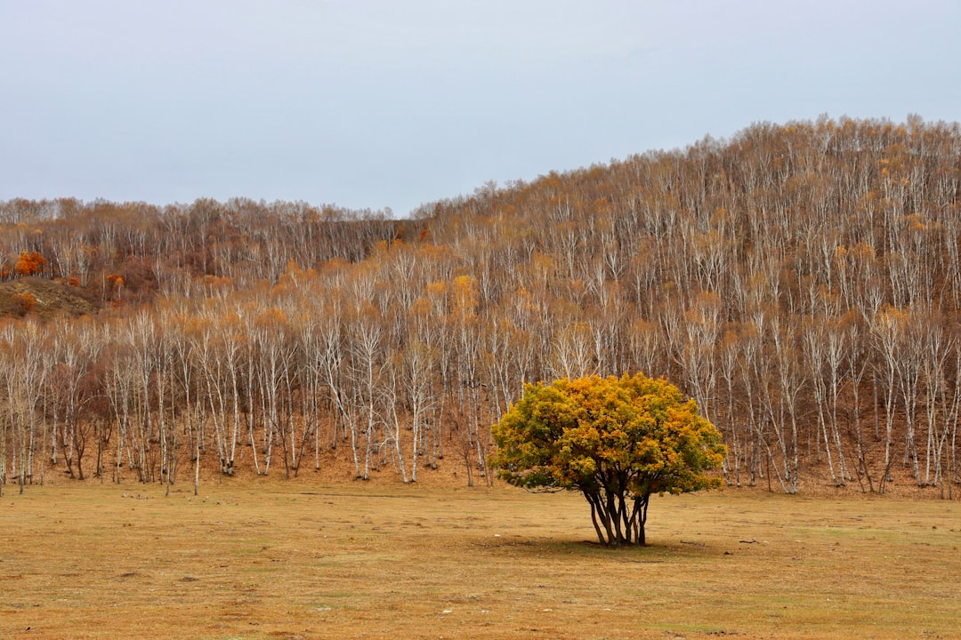 Embracing the Outdoors: A Journey to Self-Discovery